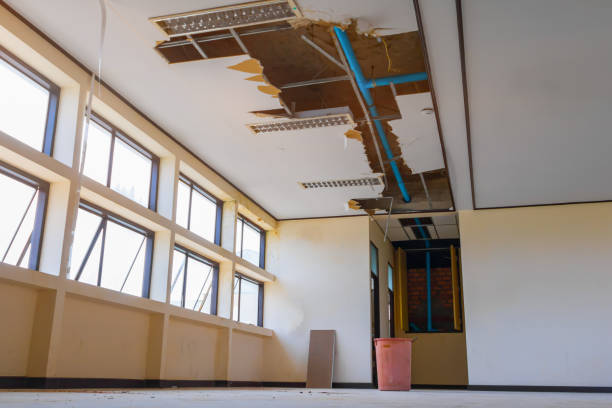 Best Mold removal after water damage  in Greenville, TX