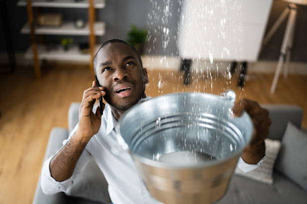 Best Flood damage cleanup  in Greenville, TX
