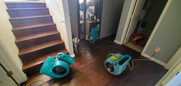 Best Water damage restoration near me  in Greenville, TX