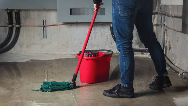 Best Water damage contractors near me  in Greenville, TX