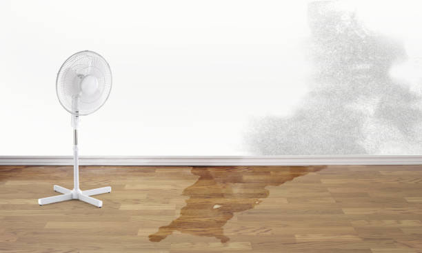 Professional Water damage restoration in Greenville, TX