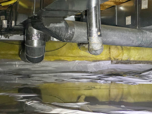 Best Basement water damage restoration  in Greenville, TX