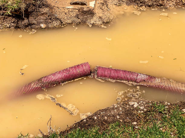 Professional Water damage restoration in Greenville, TX
