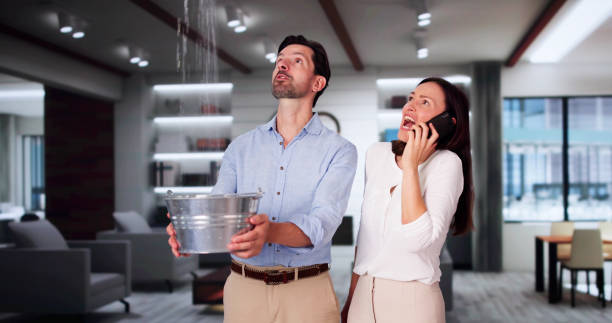Best Ceiling water damage repair  in Greenville, TX