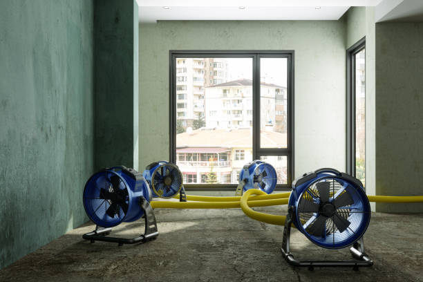 Best Water damage repair service  in Greenville, TX